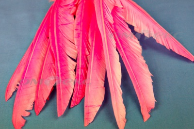 Декоративный Пучок из перьев, перо 25см/розовый - купить в Миассе. Цена: 14.40 руб.