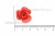 Украшение "Розы малые №1" 20мм - купить в Миассе. Цена: 32.49 руб.