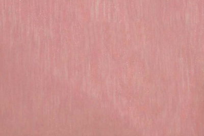 Органза однотонная "Амелия" С19 (Розовый) 280 см - купить в Миассе. Цена 303.09 руб.