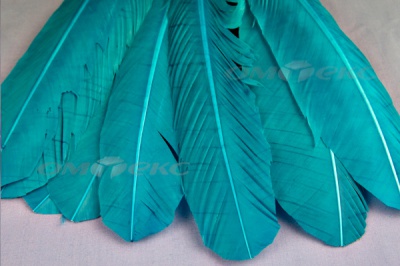 Декоративный Пучок из перьев, перо 24см/голубой - купить в Миассе. Цена: 12.19 руб.