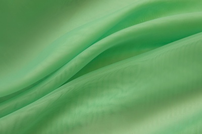 Портьерный капрон 15-6123, 47 гр/м2, шир.300см, цвет св.зелёный - купить в Миассе. Цена 137.27 руб.