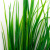 Трава искусственная -2, шт (осока 41см/8 см)				 - купить в Миассе. Цена: 104.57 руб.