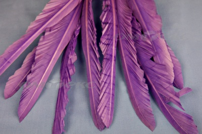 Декоративный Пучок из перьев, перо 25см/фиолетовый - купить в Миассе. Цена: 12.19 руб.
