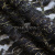 Кружевное полотно XD LACE 1-4, 80 гр/м2, шир.150см, цвет чёрный - купить в Миассе. Цена 245.94 руб.